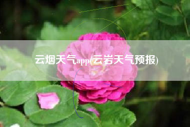 云烟天气app(云岩天气预报)