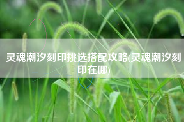 灵魂潮汐刻印挑选搭配攻略(灵魂潮汐刻印在哪)