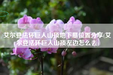 艾尔登法环巨人山顶地下墓位置分享(艾尔登法环巨人山顶左边怎么去)