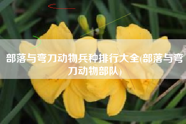 部落与弯刀动物兵种排行大全(部落与弯刀动物部队)