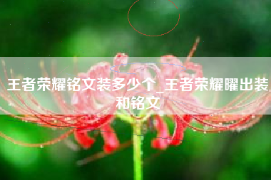 王者荣耀铭文装多少个_王者荣耀曜出装和铭文