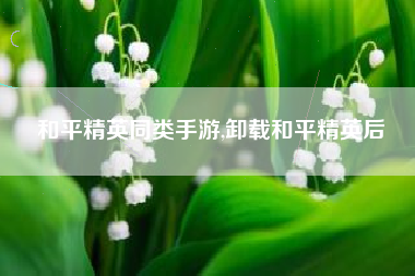 和平精英同类手游,卸载和平精英后