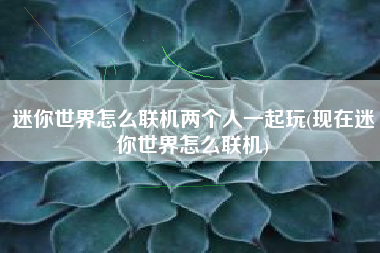 迷你世界怎么联机两个人一起玩(现在迷你世界怎么联机)