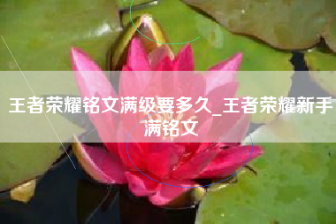 王者荣耀铭文满级要多久_王者荣耀新手满铭文