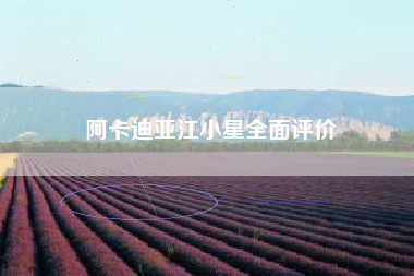 阿卡迪亚江小星全面评价