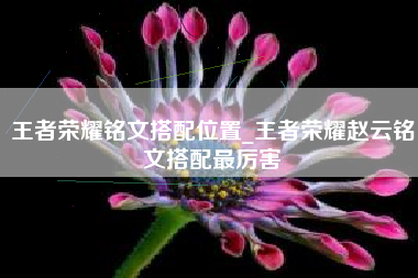 王者荣耀铭文搭配位置_王者荣耀赵云铭文搭配最厉害