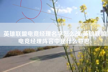 英雄联盟电竞经理名字怎么改(英雄联盟电竞经理阵容中是什么意思)