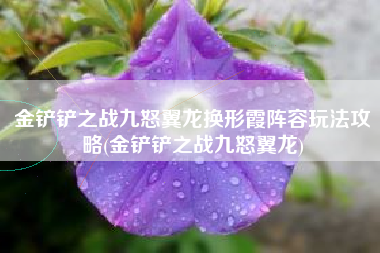 金铲铲之战九怒翼龙换形霞阵容玩法攻略(金铲铲之战九怒翼龙)