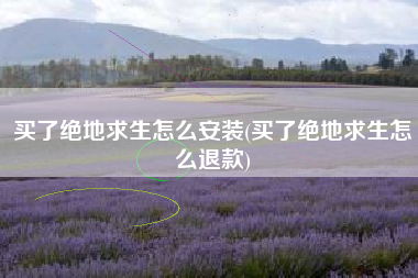 买了绝地求生怎么安装(买了绝地求生怎么退款)