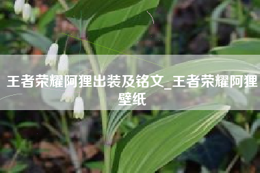 王者荣耀阿狸出装及铭文_王者荣耀阿狸壁纸