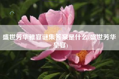 盛世芳华雅宴谜集答案是什么(盛世芳华 皇宴)