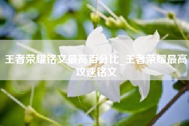 王者荣耀铭文最高百分比_王者荣耀最高攻速铭文