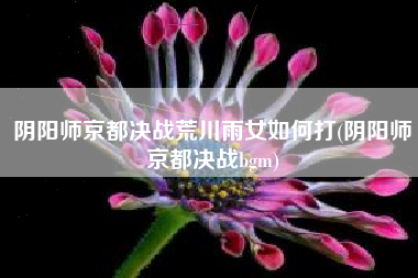 阴阳师京都决战荒川雨女如何打(阴阳师京都决战bgm)