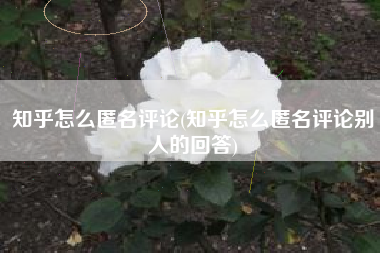 知乎怎么匿名评论(知乎怎么匿名评论别人的回答)
