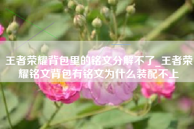 王者荣耀背包里的铭文分解不了_王者荣耀铭文背包有铭文为什么装配不上