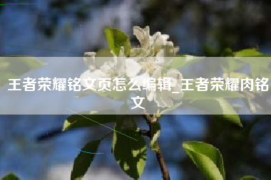 王者荣耀铭文页怎么编辑_王者荣耀肉铭文