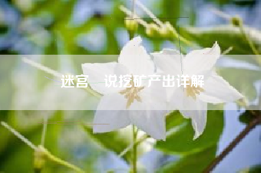 迷宫伝说挖矿产出详解