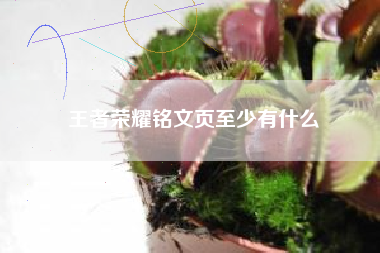 王者荣耀铭文页至少有什么