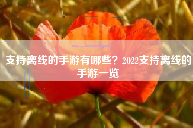 支持离线的手游有哪些？2022支持离线的手游一览