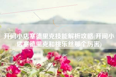 开间小店塞德里克技能解析攻略(开间小店塞德里克和桃乐丝那个厉害)