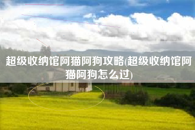 超级收纳馆阿猫阿狗攻略(超级收纳馆阿猫阿狗怎么过)