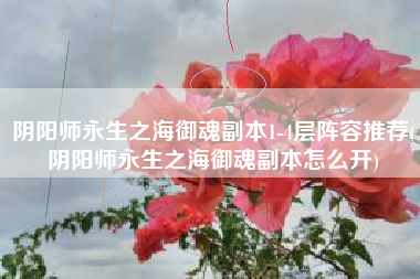 阴阳师永生之海御魂副本1-4层阵容推荐(阴阳师永生之海御魂副本怎么开)