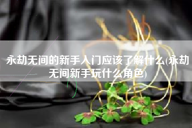 永劫无间的新手入门应该了解什么(永劫无间新手玩什么角色)
