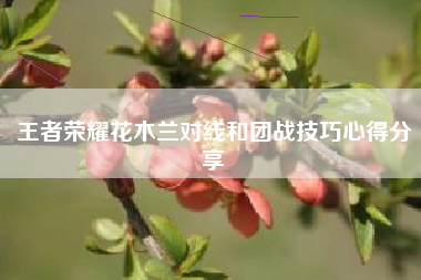 王者荣耀花木兰对线和团战技巧心得分享