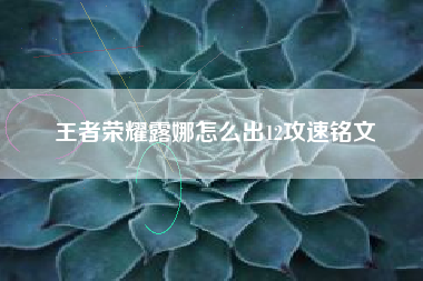王者荣耀露娜怎么出12攻速铭文