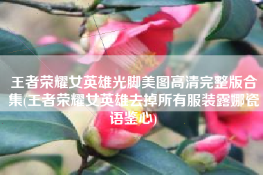 王者荣耀女英雄光脚美图高清完整版合集(王者荣耀女英雄去掉所有服装露娜瓷语鉴心)