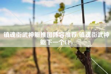 镇魂街武神躯推图阵容推荐(镇魂街武神躯下一个UP)
