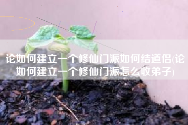 论如何建立一个修仙门派如何结道侣(论如何建立一个修仙门派怎么收弟子)