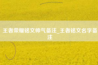 王者荣耀铭文帅气备注_王者铭文名字备注