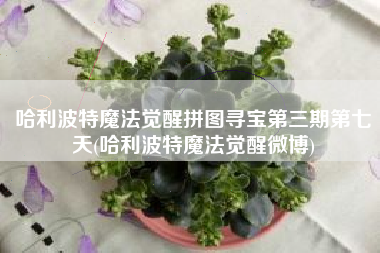 哈利波特魔法觉醒拼图寻宝第三期第七天(哈利波特魔法觉醒微博)