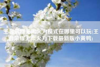 王者荣耀无限火力模式在哪里可以玩(王者荣耀无限火力下载最新版小黄鸭)