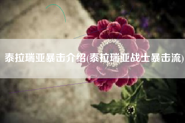 泰拉瑞亚暴击介绍(泰拉瑞亚战士暴击流)
