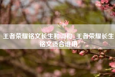 王者荣耀铭文长生和调和_王者荣耀长生铭文适合谁用