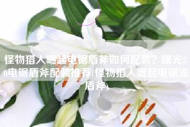 怪物猎人崛起电锯盾斧如何配装？曙光2.0电锯盾斧配装推荐(怪物猎人崛起电锯流盾斧)