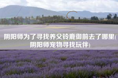 阴阳师为了寻找养父铃鹿御前去了哪里(阴阳师宠物寻找玩伴)