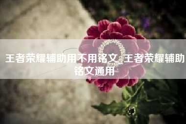 王者荣耀辅助用不用铭文_王者荣耀辅助铭文通用