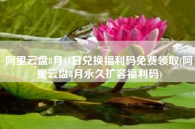 阿里云盘8月11日兑换福利码免费领取(阿里云盘8月永久扩容福利码)