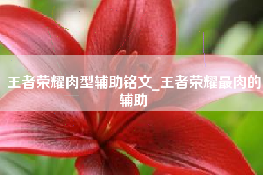 王者荣耀肉型辅助铭文_王者荣耀最肉的辅助