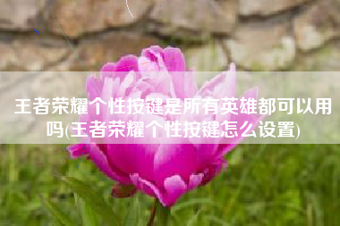 王者荣耀个性按键是所有英雄都可以用吗(王者荣耀个性按键怎么设置)
