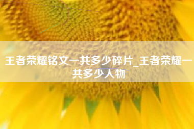 王者荣耀铭文一共多少碎片_王者荣耀一共多少人物