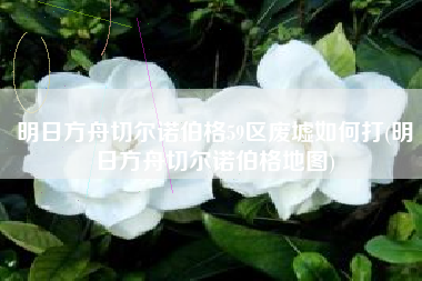 明日方舟切尔诺伯格59区废墟如何打(明日方舟切尔诺伯格地图)