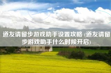 道友请留步游戏助手设置攻略 (道友请留步游戏助手什么时候开启)