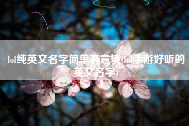 lol纯英文名字简单有意境(lol手游好听的英文名字)