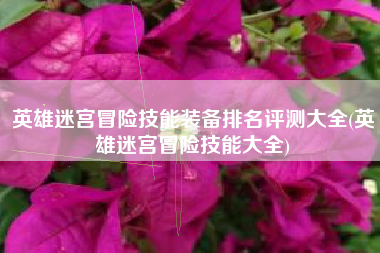 英雄迷宫冒险技能装备排名评测大全(英雄迷宫冒险技能大全)