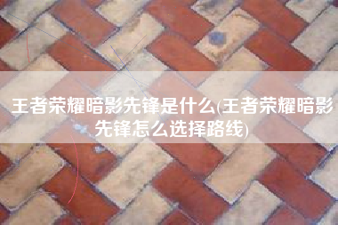 王者荣耀暗影先锋是什么(王者荣耀暗影先锋怎么选择路线)