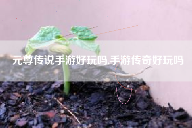 元尊传说手游好玩吗,手游传奇好玩吗